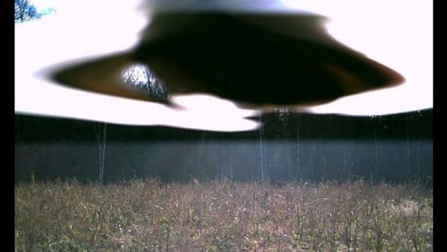 ufo-or-bad-exposure
