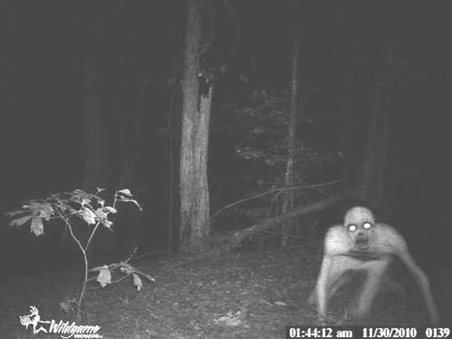 wrong-turn