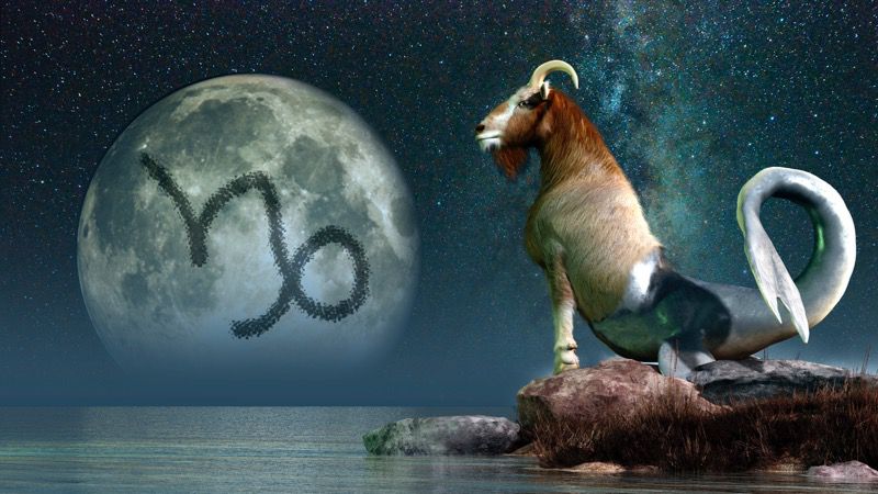 Ето защо козирозите са НЕВЕРОЯТНИ! Вижте 5 причини за това