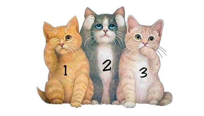 Изберете едно от тези три котенца и вижте какво ще разкрие то за вашия характер