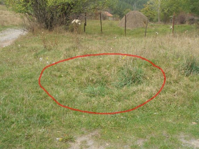 Сензационна новина, свързана с феномена Царичина