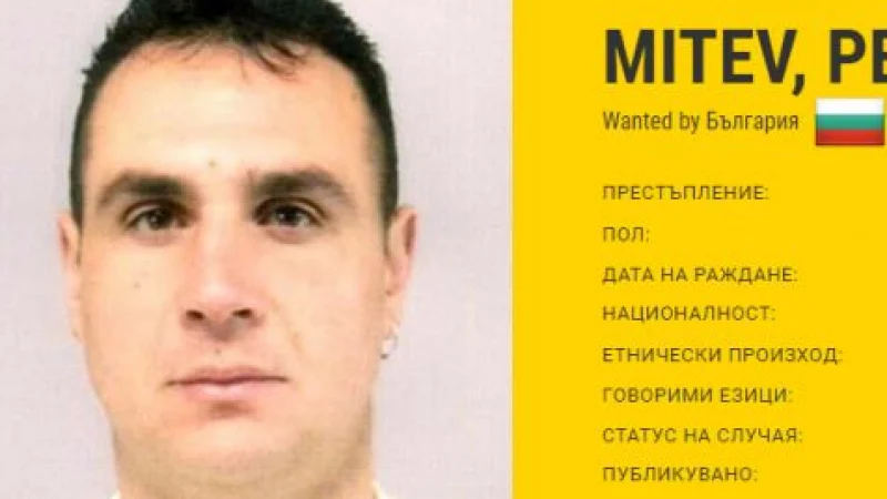 Ето кой е издирваният по цял свят наш бандит, въртял бизнес със секс робини